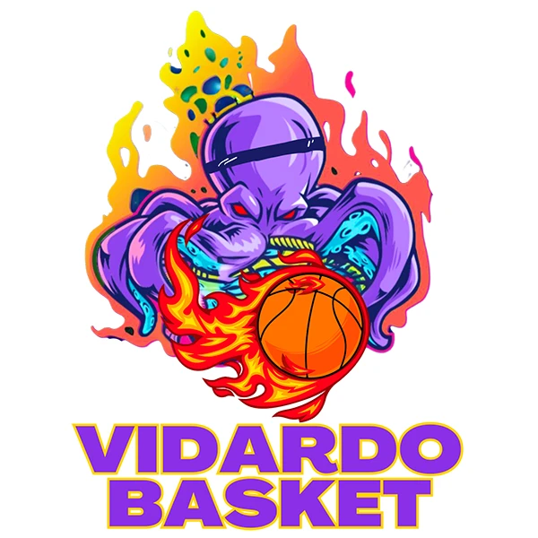 Vidardo Basket